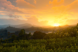 战队巡礼！卡塔尔电竞，他们是赛场上的焦点！